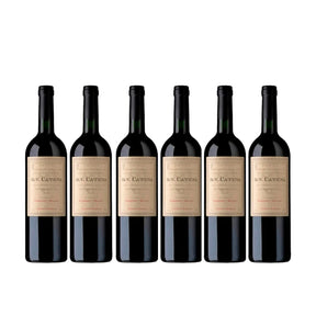 Kit 6 Vinhos D.V. Catena Cabernet Malbec 750ml